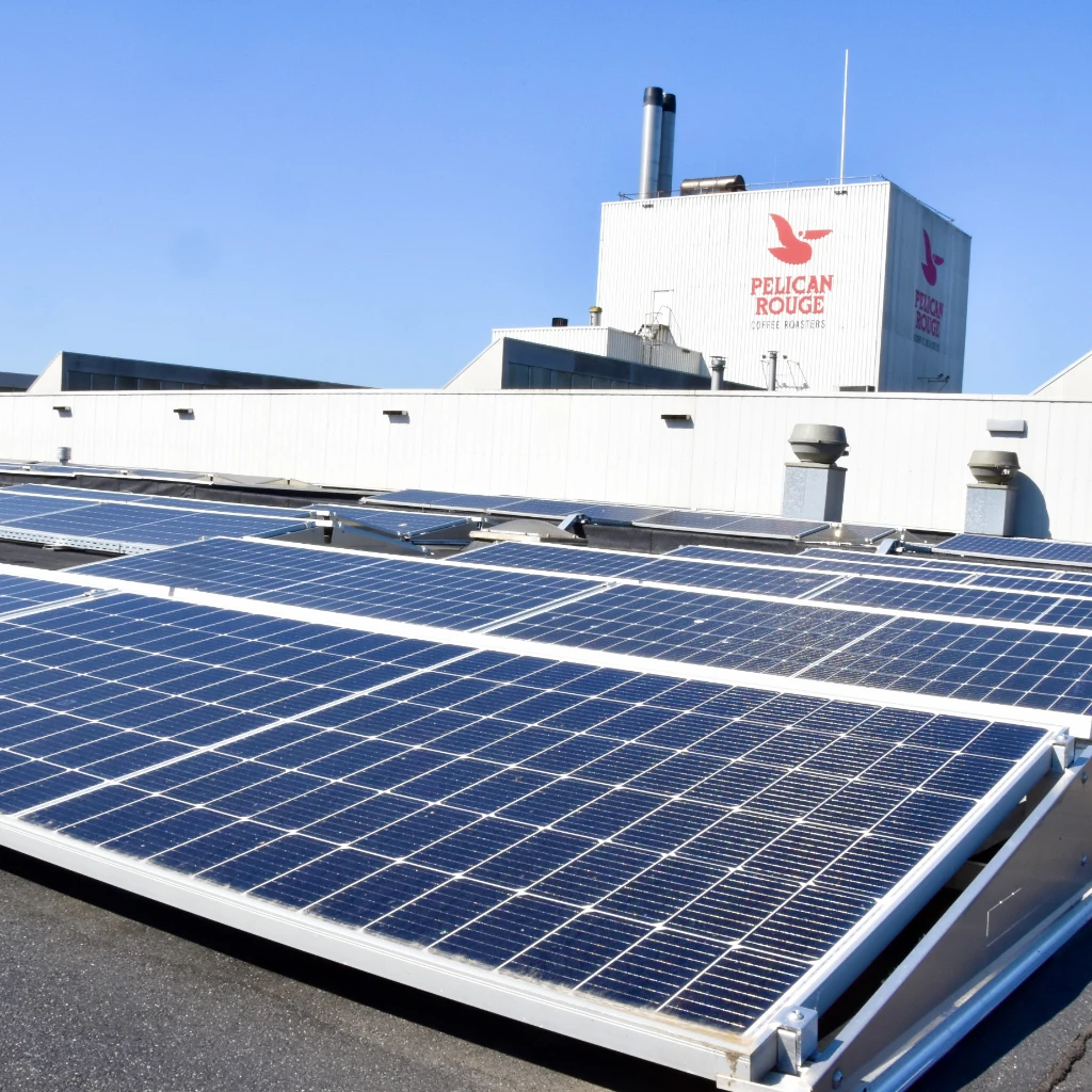 10_Green energy-min.jpg