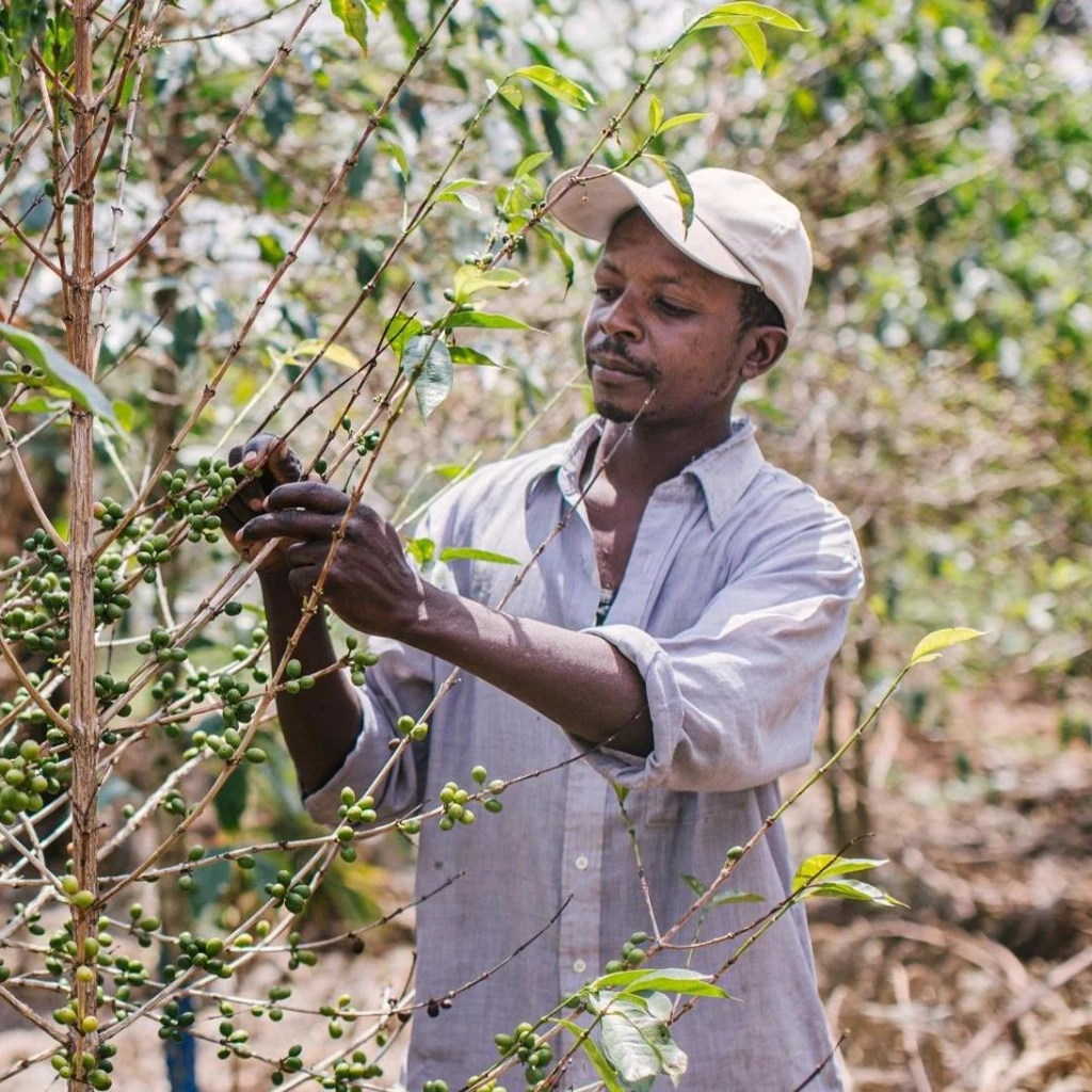 ______Sustainability home.9759310856283593703.9629401738378421936.jpg