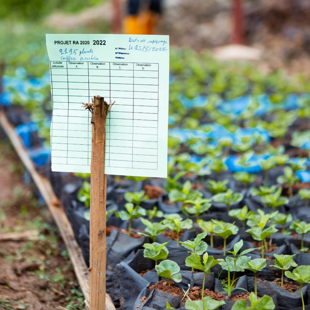 15_Conscious contributions-min.jpg