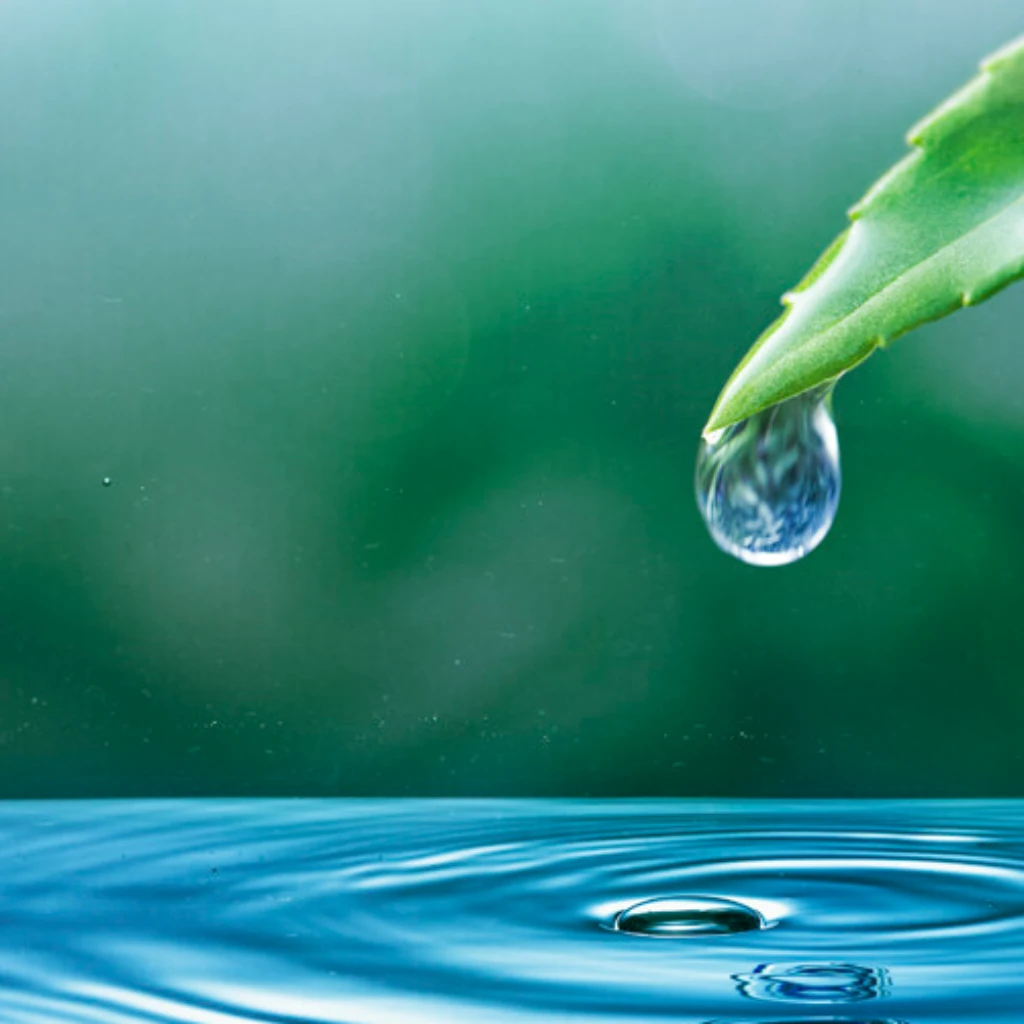 Water Header.png